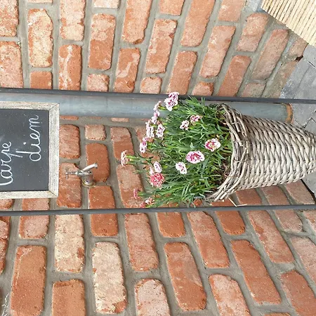 Elegant In Vakantiehuis *